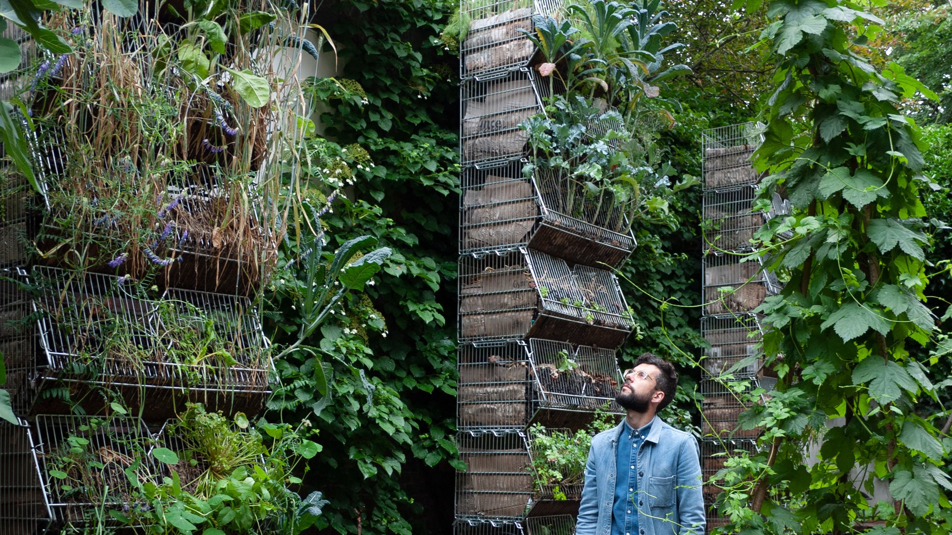Jonathan Looman – HyperGarden