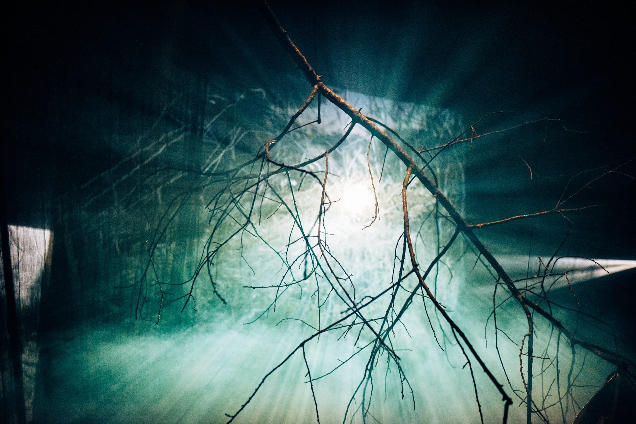 Installation: MenAsWell x Barnaby Savage – In de Bosjes