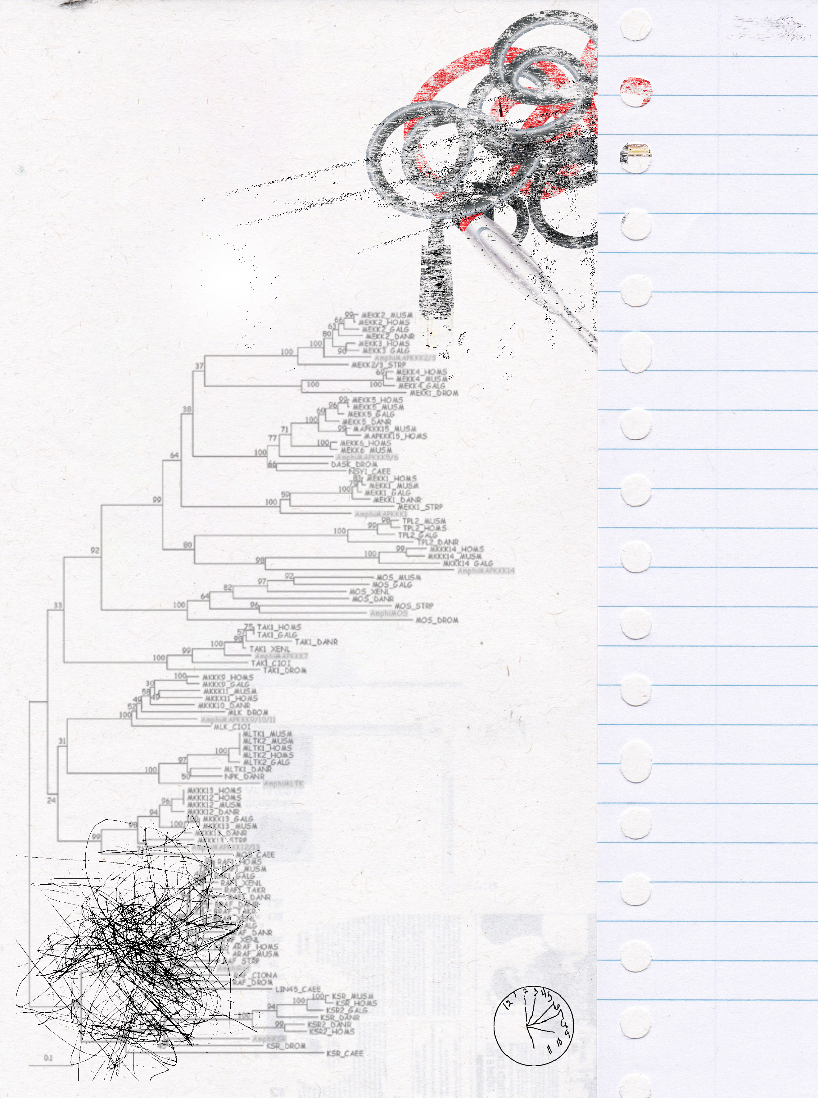 Memory Vacuum – Digital Echoes