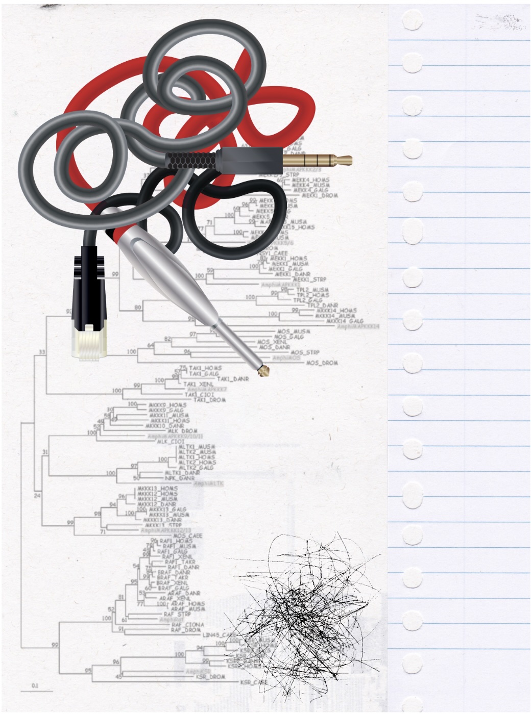 Memory Vacuum – Digital Echoes