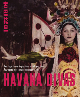 Migration, Memory and the Opera Stage